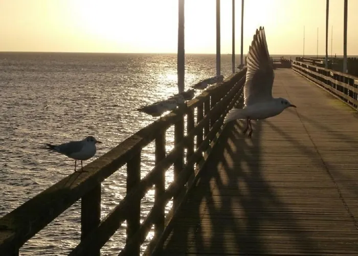 Ostseebrise 3 - Apartamento *